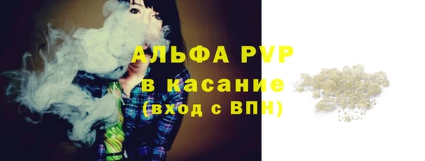 дмт Гусев