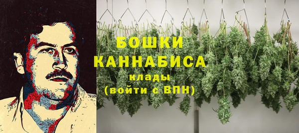 дмт Гусев