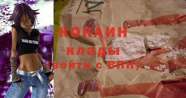 дмт Гусев