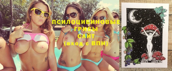 крисы Великий Новгород