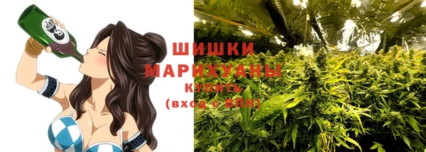 соль ск Гусь-Хрустальный