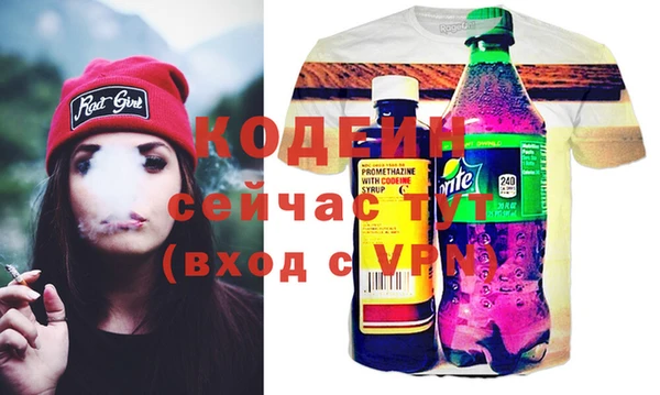 дмт Гусев