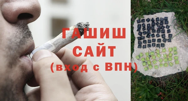 дмт Гусев