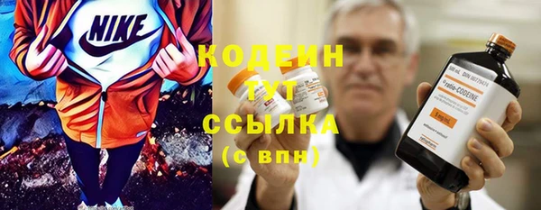 дмт Гусев