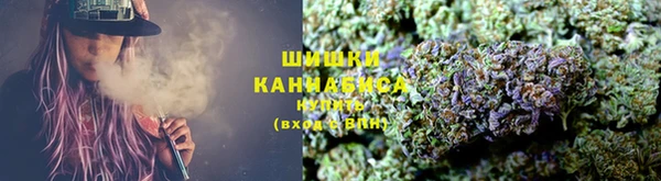 крисы Великий Новгород