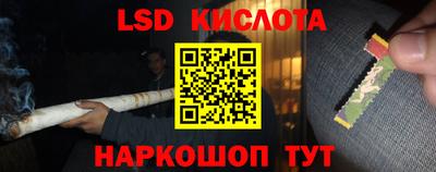 стафф Гусев