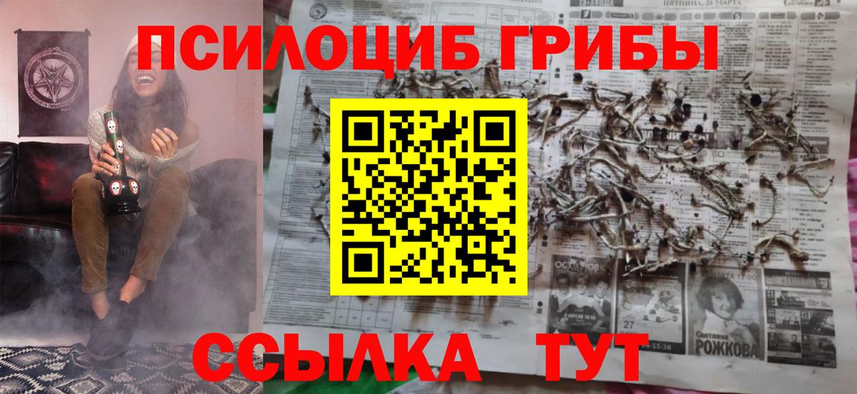 Междуреченск  Галлюциногенные грибы Psilocybine cubensis  Вход с VPN 