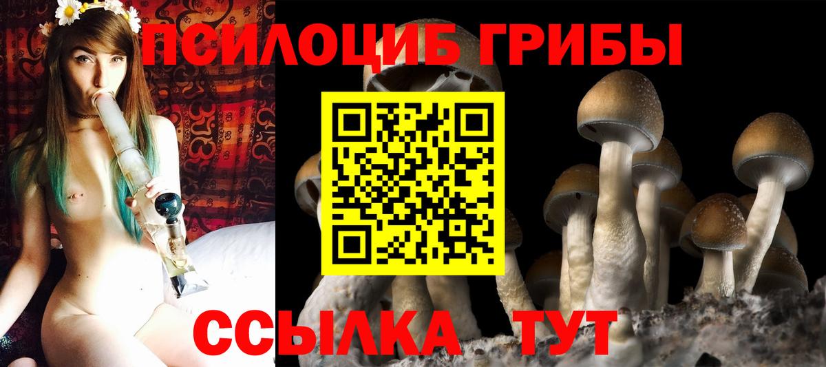 Галлюциногенные грибы мухоморы Междуреченск